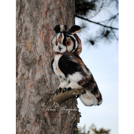 Ушастая Сова - фото - 1